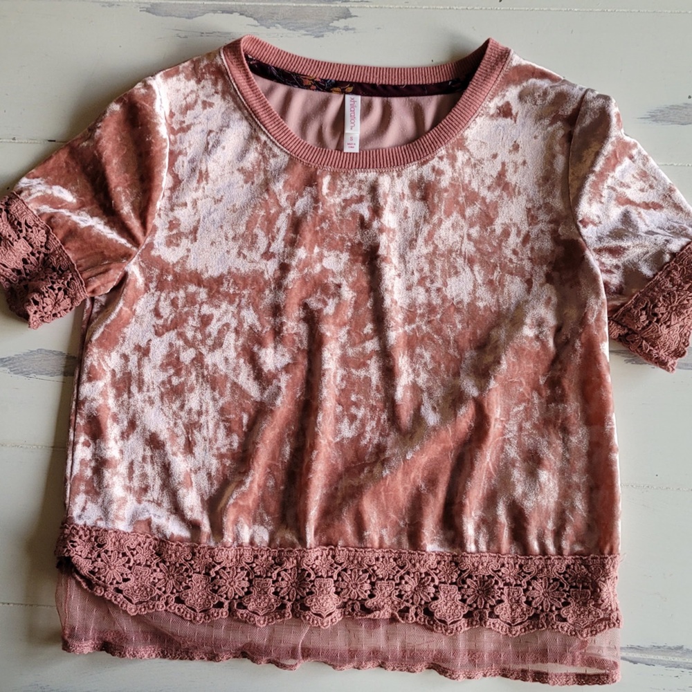 Xhilaration from Target velvet and lace pink crop top, size S